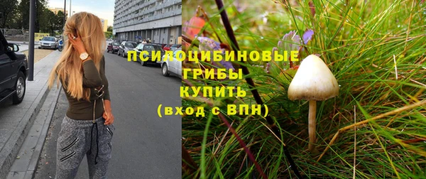 дурь Болхов