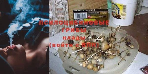 прущая мука Новодвинск