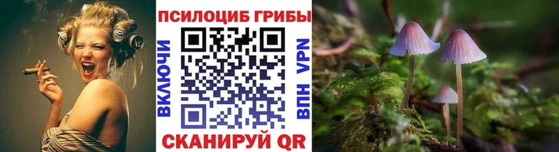 Псилоцибиновые грибы мухоморы  Серов 