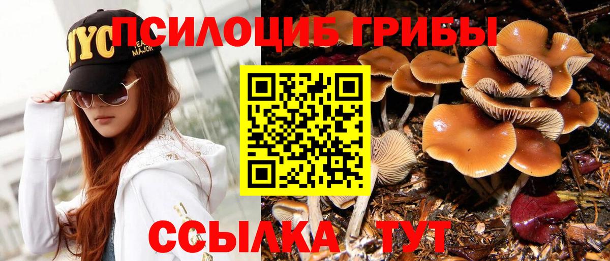 Галлюциногенные грибы Psilocybine cubensis Серов