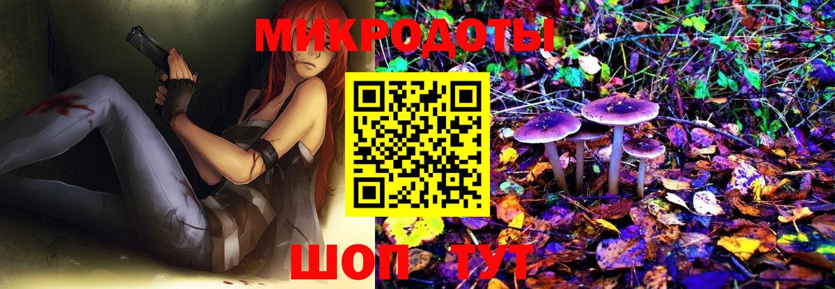 Псилоцибиновые грибы прущие грибы Серов