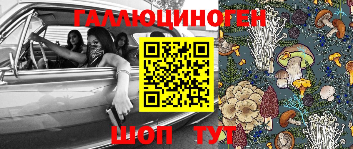 Галлюциногенные грибы Psilocybine cubensis  Серов  Псилоцибиновые грибы Psilocybine cubensis 