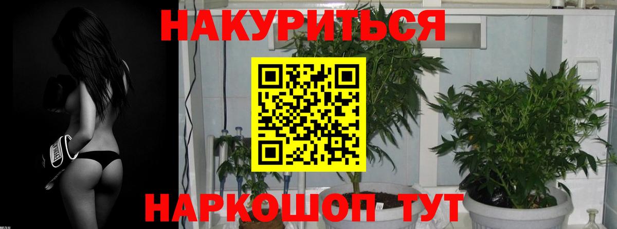 Канабис конопля  МАРИХУАНА VHQ  Конопля Ganja  Серов  Канабис гибрид 